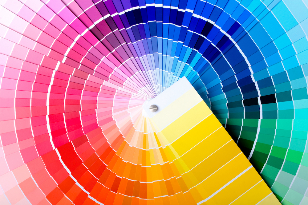Color Palette | Logo Color Palette Basics | DeWinter Marketing & PR Denver